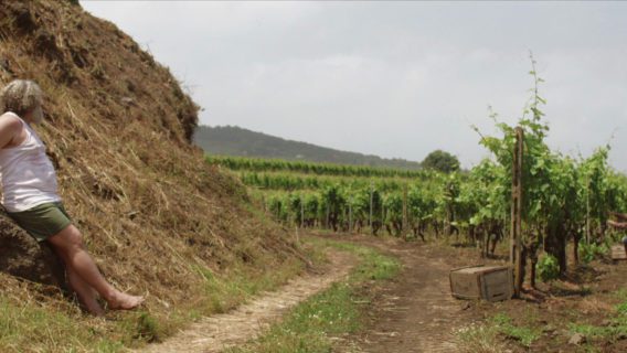 TheWinemaker screen39 1