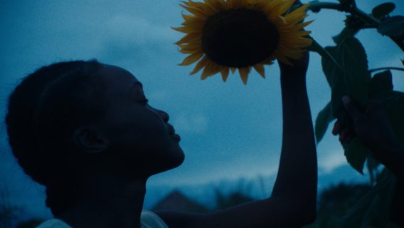 Lamara 1366 - Felix Schmilinsky | Cinematographer
